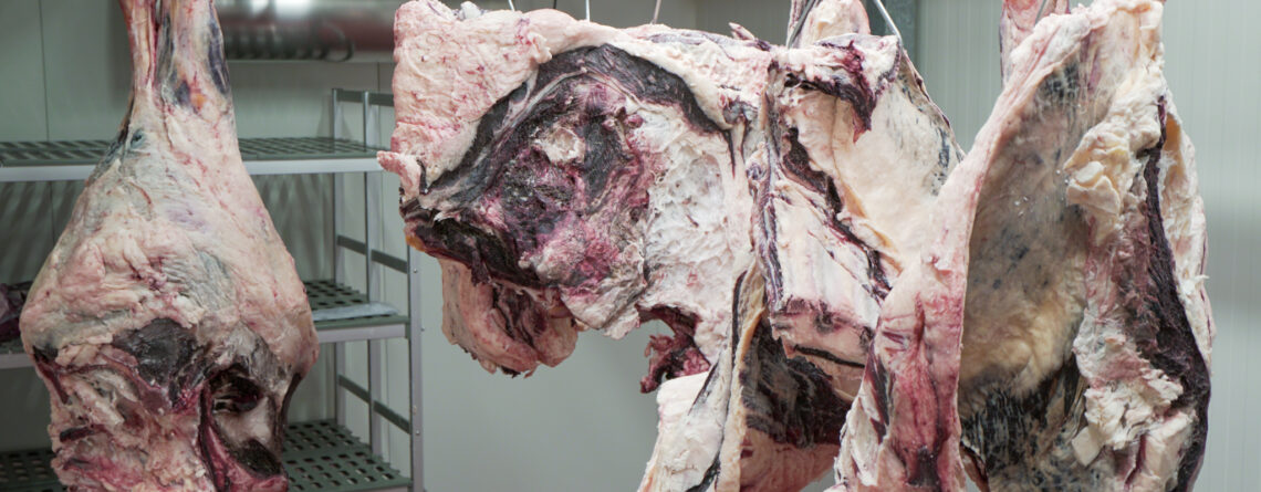 Pohled na zrání masa